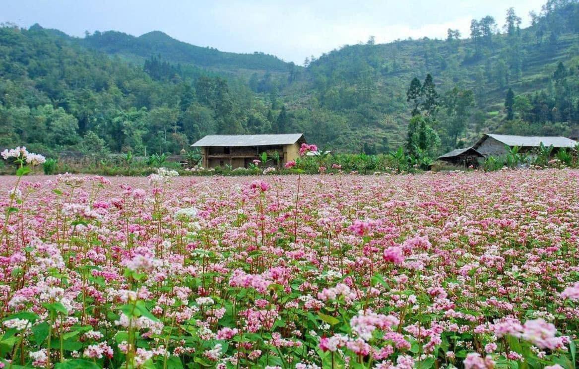 Thuy Anh Hotel Ha Giang Extérieur photo
