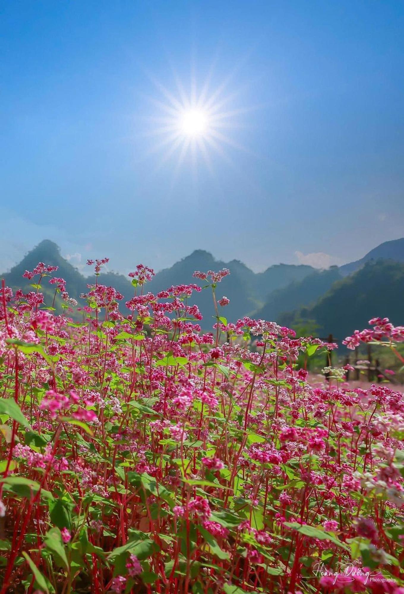 Thuy Anh Hotel Ha Giang Extérieur photo